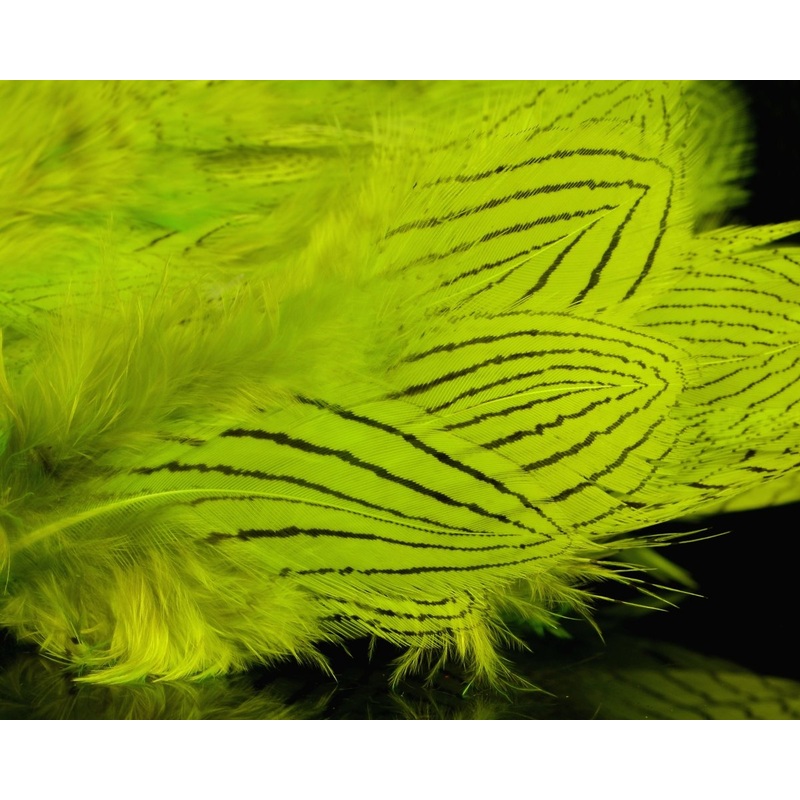 Silver Pheasant Body Feathers|Highlander Green|Hot Orange|Hot Pink|Kingfisher Blue|Minnow Grey|Natural|Purple|Red|Silver Doctor Blue|Yellow|Chartreuse|Claret