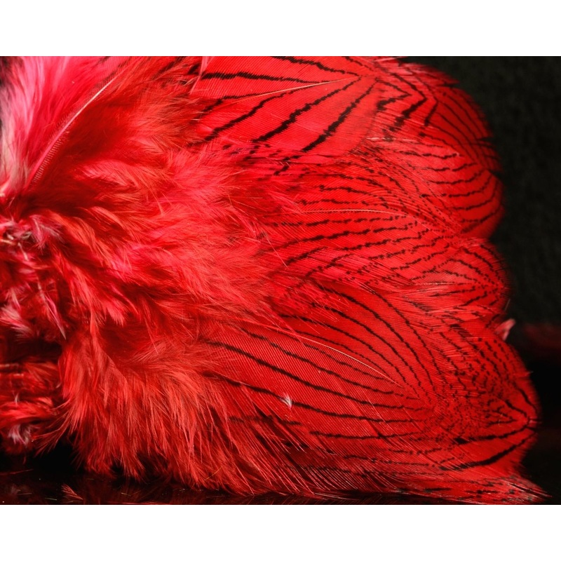 Silver Pheasant Body Feathers|Highlander Green|Hot Orange|Hot Pink|Kingfisher Blue|Minnow Grey|Natural|Purple|Red|Silver Doctor Blue|Yellow|Chartreuse|Claret