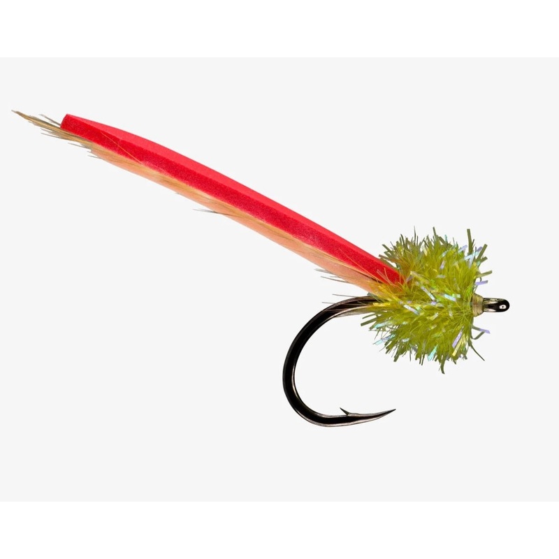 RIO’s Palolo Worm|Olive Head|Tan Head