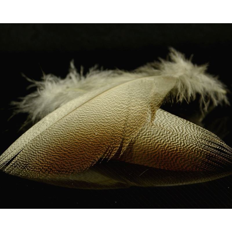 Spawn Super Select Bronze Mallard