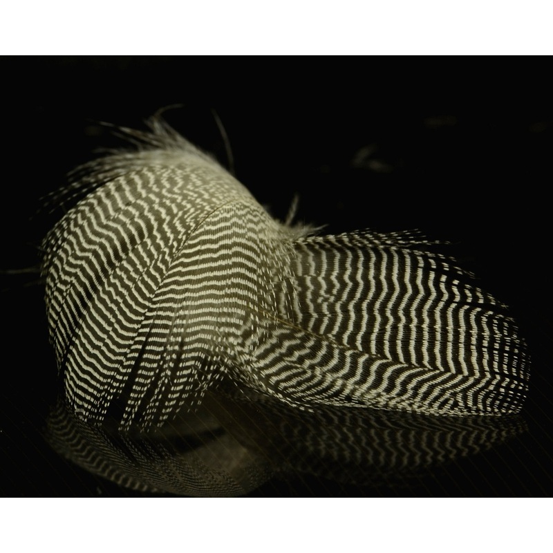 Spawn Super Select Green Winged Teal