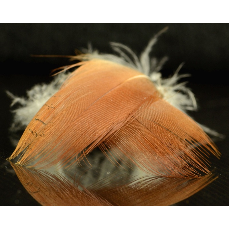 Spawn Super Select Northern Shoveler