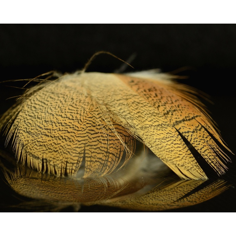 Spawn Super Select Northern Shoveler