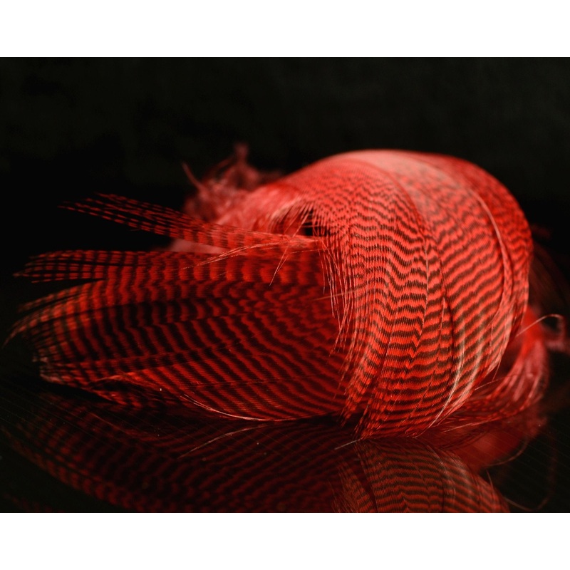 Spawn Super Select Pintail Feathers