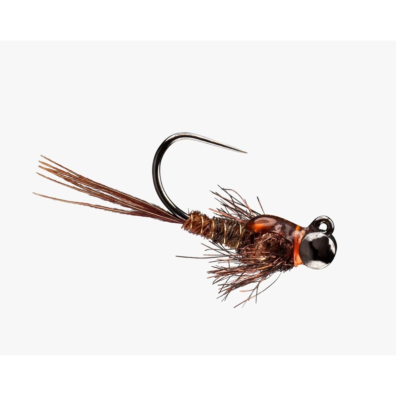 RIO’s Morrish Pugsly|Black |10|PT |10
