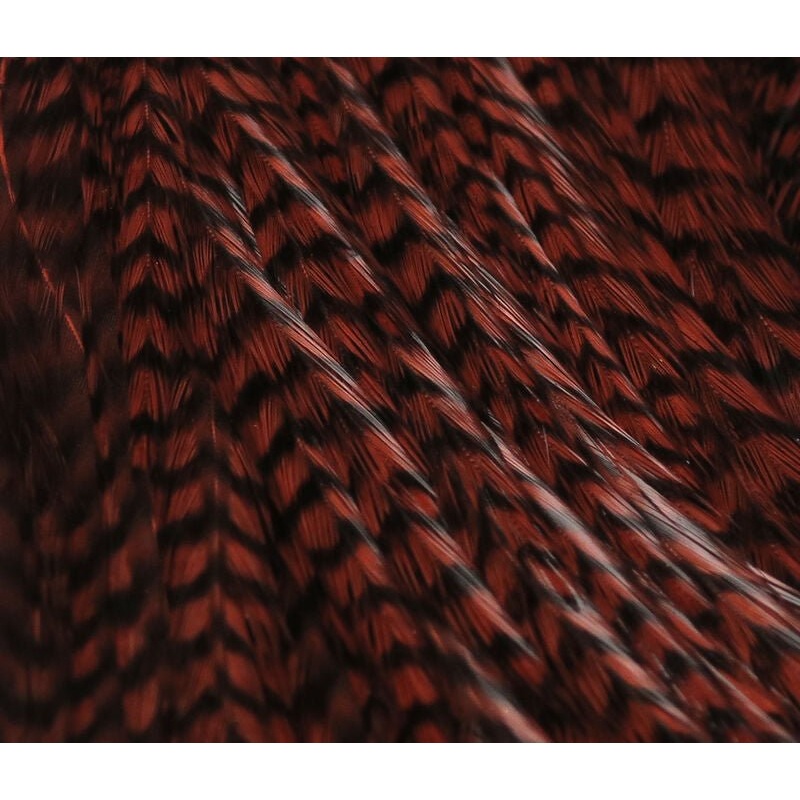 Hareline Half Capes|Dun|Black|Ginger|Grizzly Bleached|Grizzly Brown|Grizzly Chartreuse|Grizzly Dun|Grizzly Hot Orange|Grizzly Hot Pink|Grizzly Natural|Grizzly Olive|Grizzly Purple|Grizzly Yellow|Lt Dun|Grizzly Blue|Grizzly Red|Grizzly Tan|Grizzly Teal Blu