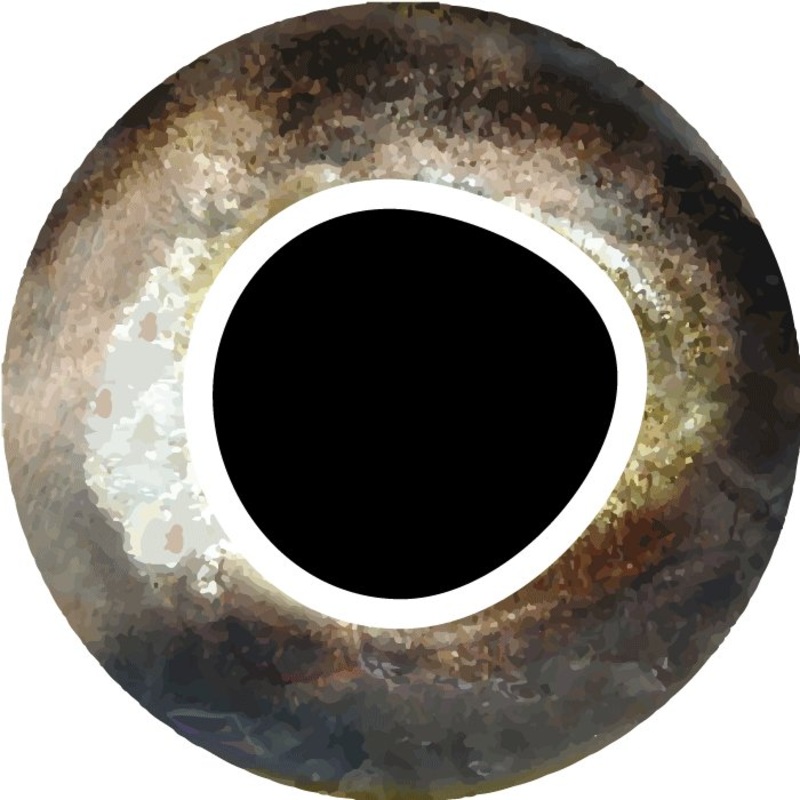 Pro Sportfisher Cool Eyes|3 mm|4 mm|5 mm|6 mm|8 mm|10 mm|12 mm|Brown|Golden|Orange|Rainbow|Silver|Yellow
