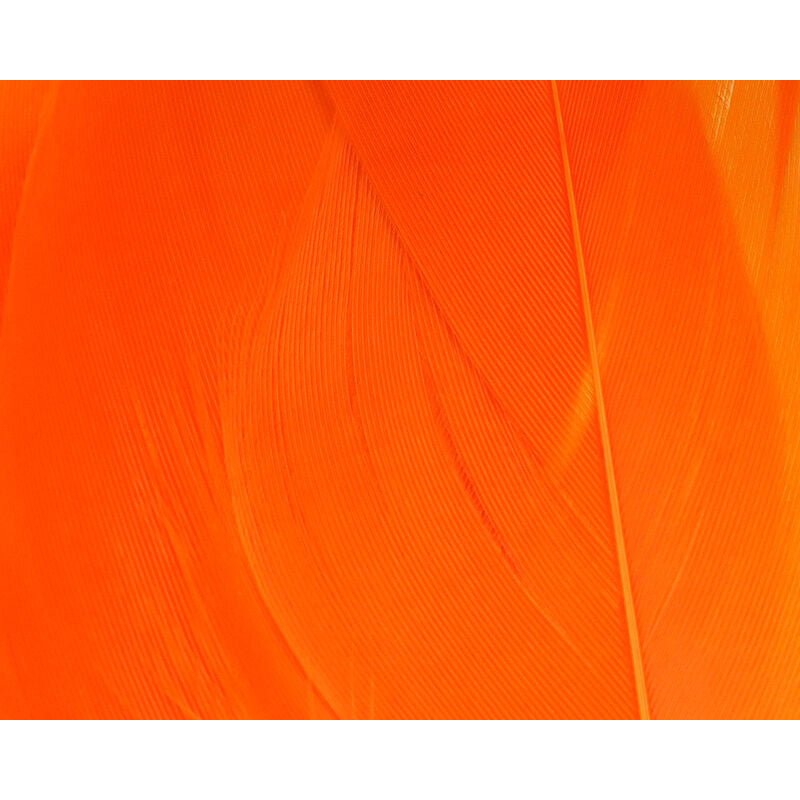 Select Goose Shoulder|Black|Fl. Orange|Fl. Yellow|Green|Hot Pink|Blue|Orange|Purple|Red|White|Yellow|Cerise|Chartreuse|Claret|Crimson