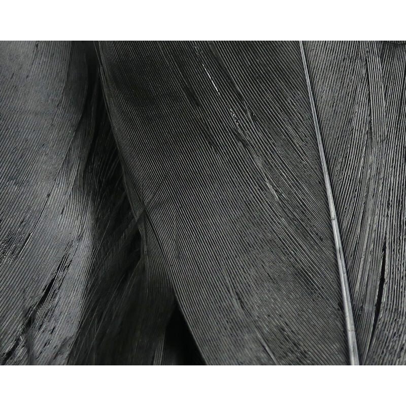 Select Goose Shoulder|Black|Fl. Orange|Fl. Yellow|Green|Hot Pink|Blue|Orange|Purple|Red|White|Yellow|Cerise|Chartreuse|Claret|Crimson