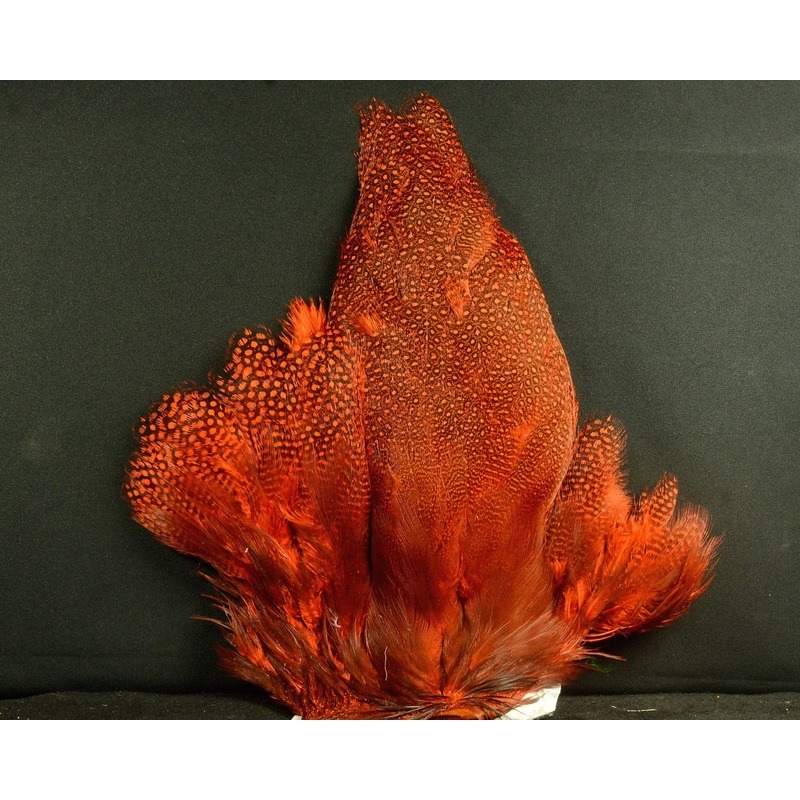 Whiting Farms Guinea Fowl – Cape