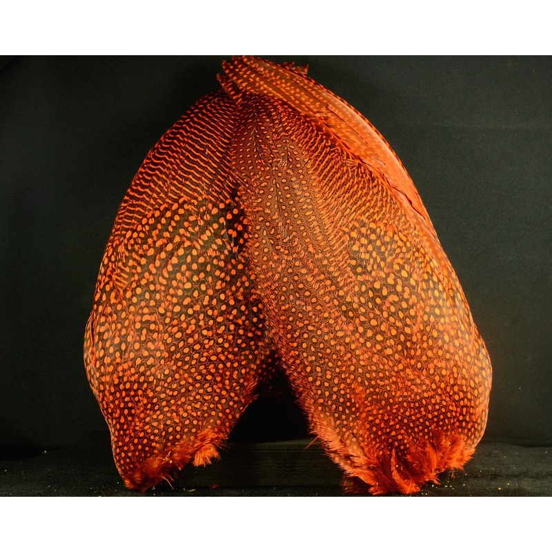 Whiting Farms Guinea Fowl – Paired Wings