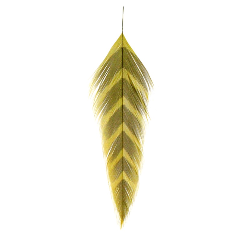 Galloup’s Fish Feathers – Arrowhead