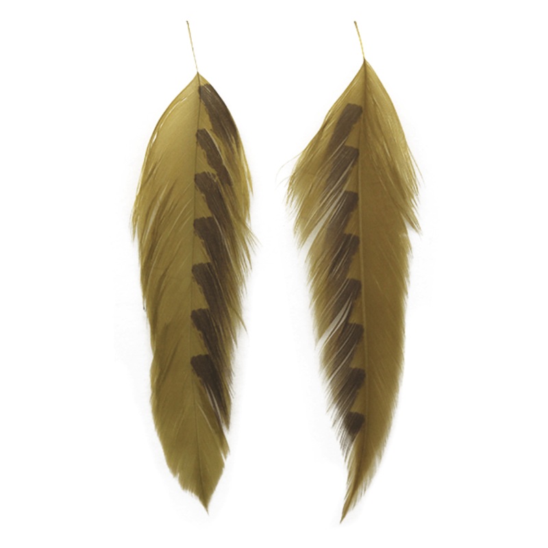 Galloup’s Fish Feathers – Shark Fin