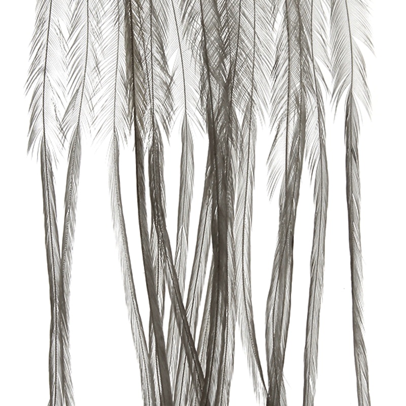Whiting Farms 100 Saddle Hackle Pack
