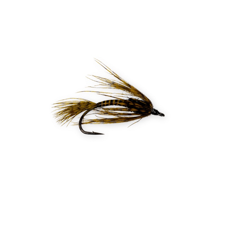 Anderson’s Chupacabra|NATURAL|OCT CADD|OLIVE|YELLOW|8