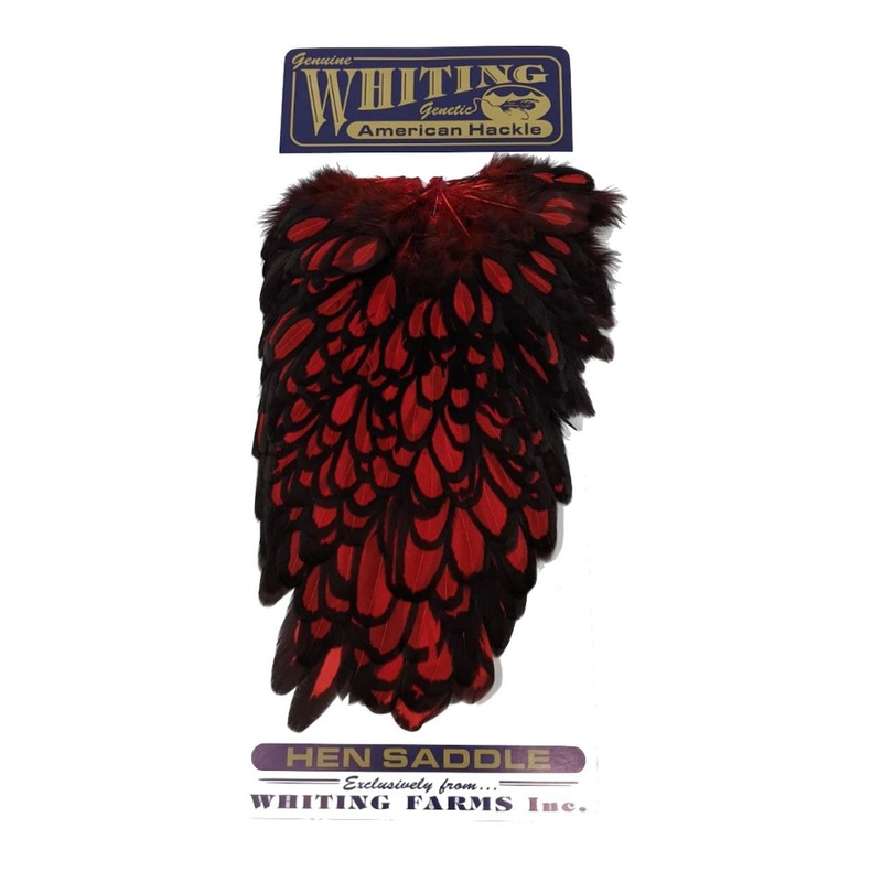 Whiting Farms American Saddle|CHART|DR BLUE|PINK|PURP|WHITE