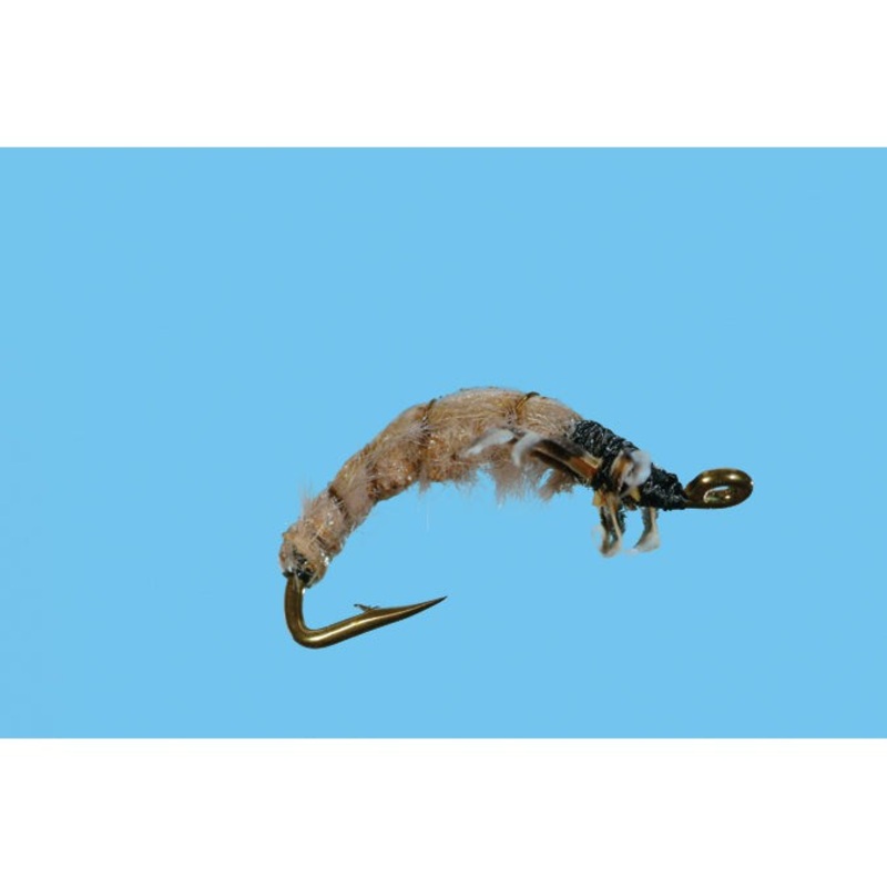 Caddis Crawling|OLIVE|16