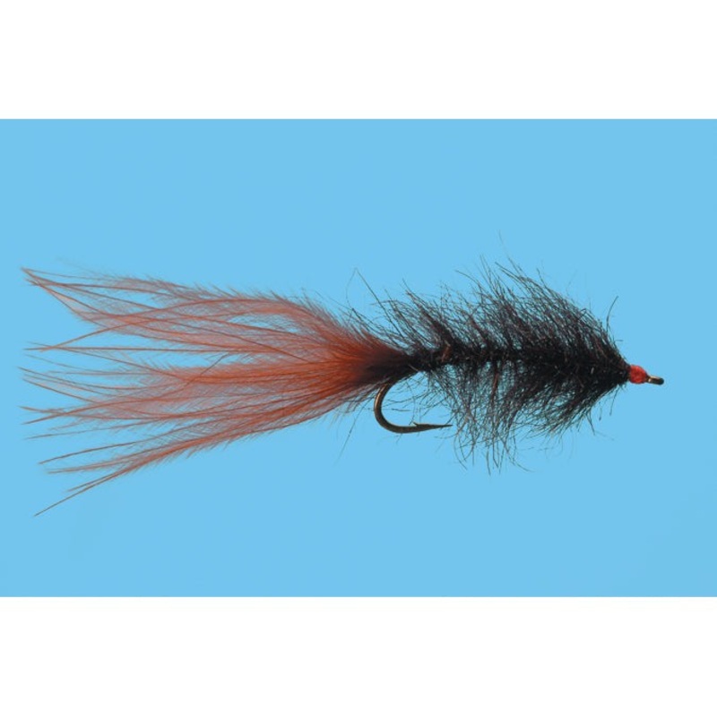 Hale Bop Leech|BLACK|BROWN|OLIVE|WINE|8