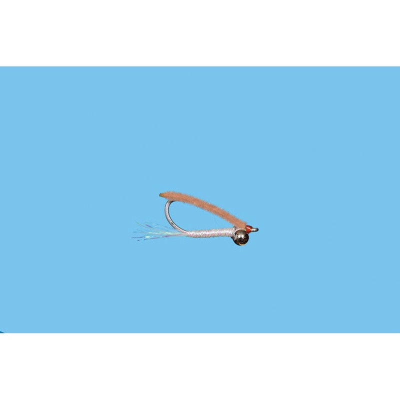 Worm Bite|ORANGE|TAN|8