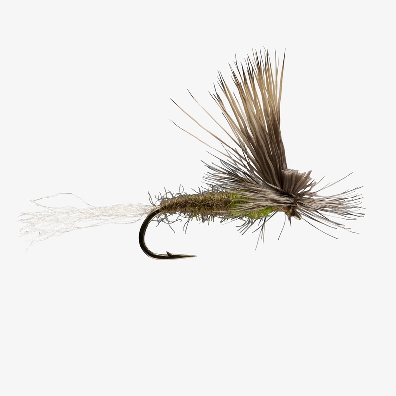 E/C Caddis|OLIVE|TAN|14|16|18