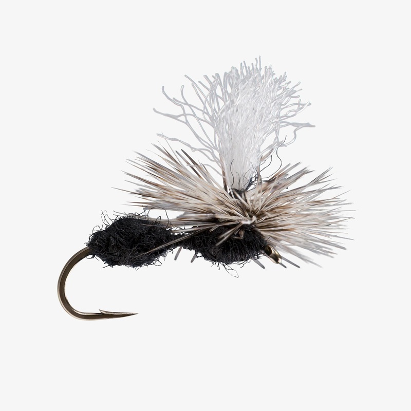 Para Ant|BLACK|RUST|14|16