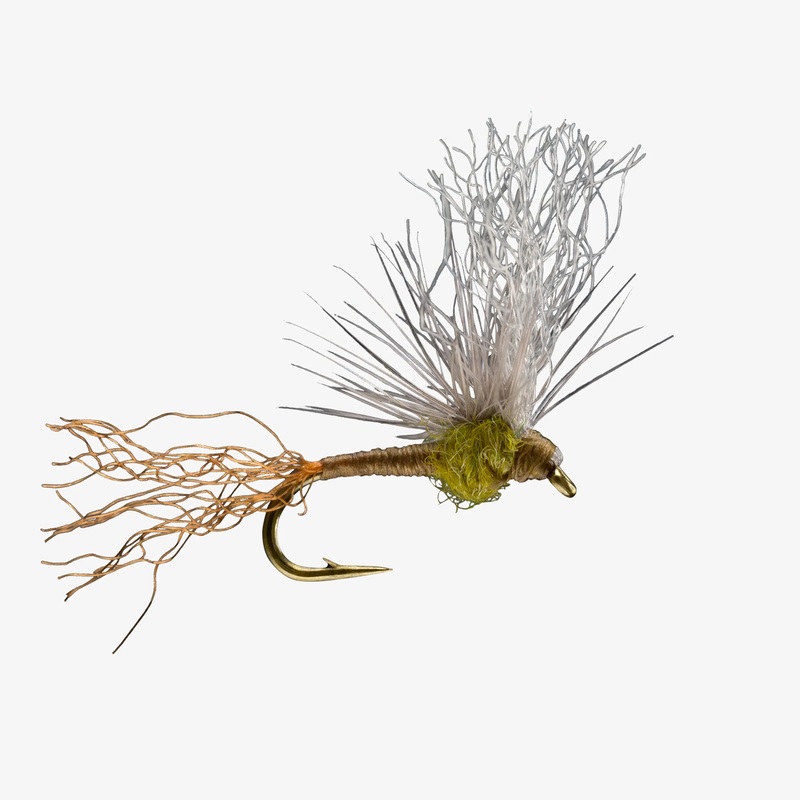 Quigley’s Sparkle Flag|BWO|PMD|18