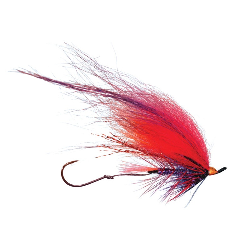 Foxee Dog by Solitude|Popsicle|Black/Blue|Orange/Black