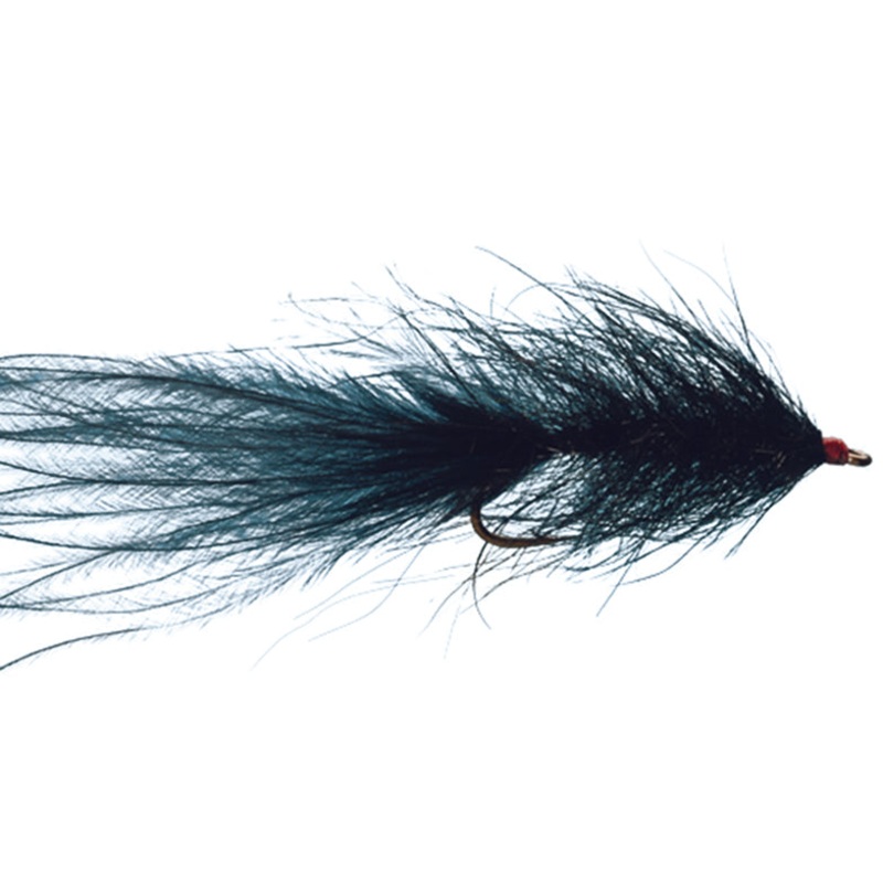 Hale Bopp Leech by Solitude|Black|Wine