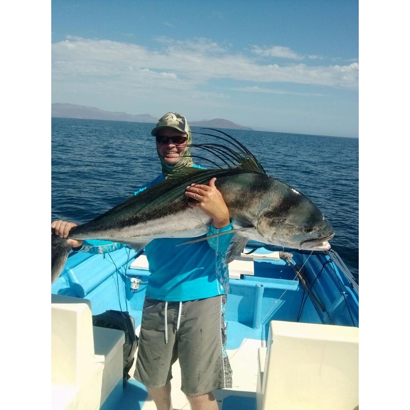 Top 12 Roosterfish & Dorado Flies // Deadly Dozen Assortment