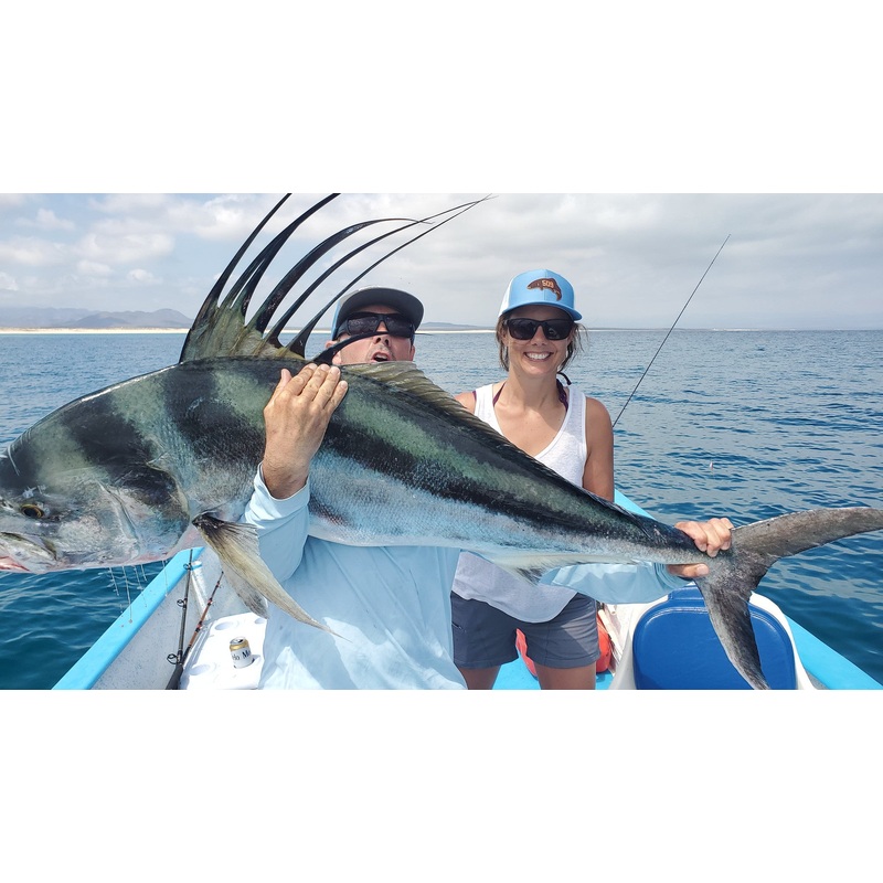 Top 12 Roosterfish & Dorado Flies // Deadly Dozen Assortment