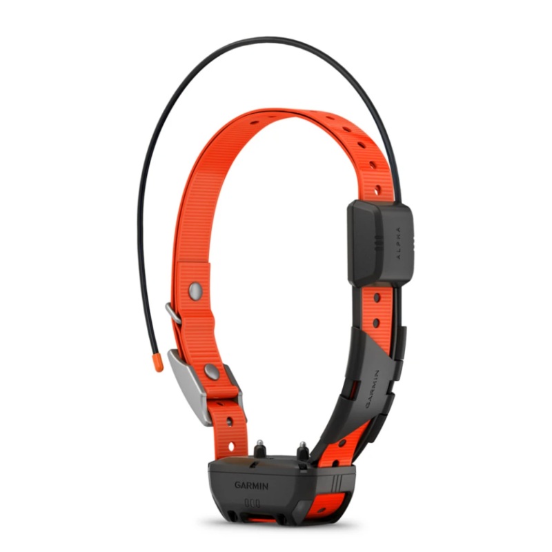Garmin Alpha TT 25 Dog Collar