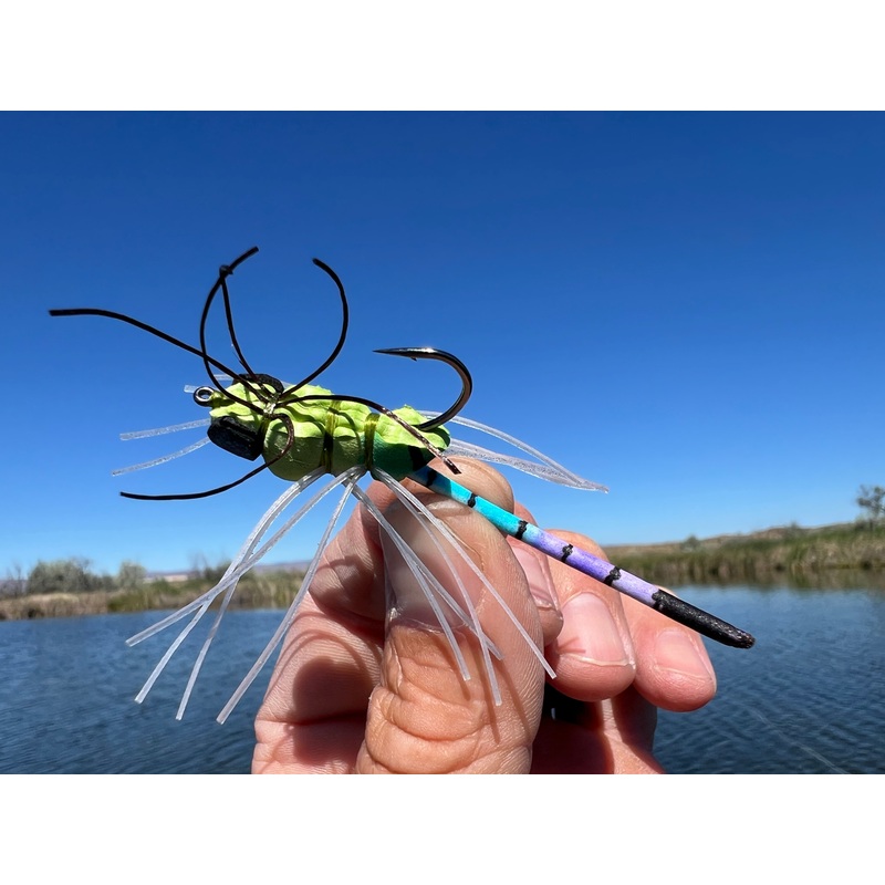 RIO’s My Oh My Dragonfly