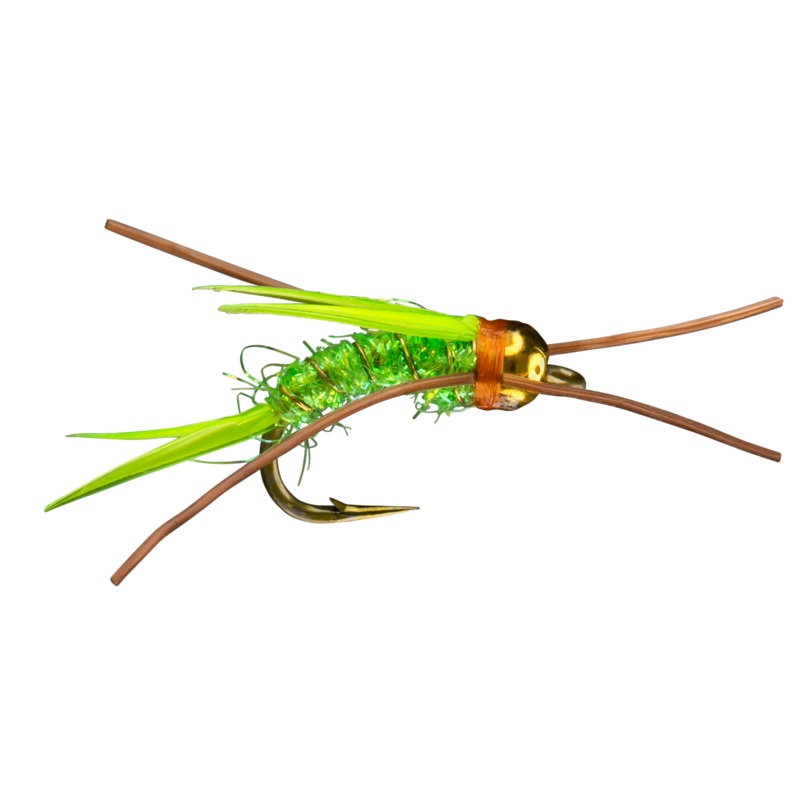 RIO’s Prince of Power|Chartreuse|Olive Brown|Peacock|Purple||12||14||16