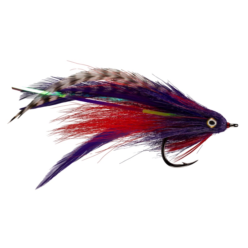 RIO’s Morrish Jungle Love|Purple / Red|Red / Black