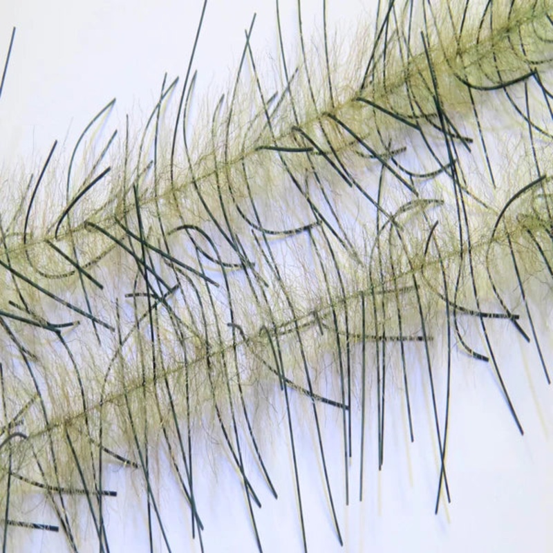 Just Add H20 Lively Legs Crustacean Brush