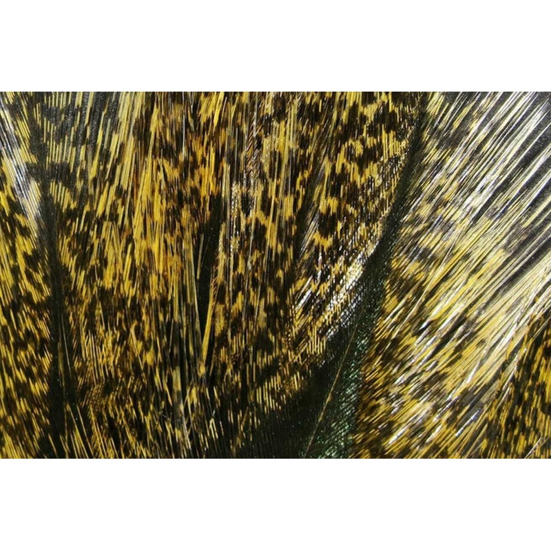 Coq de Leon Feathers by Hareline