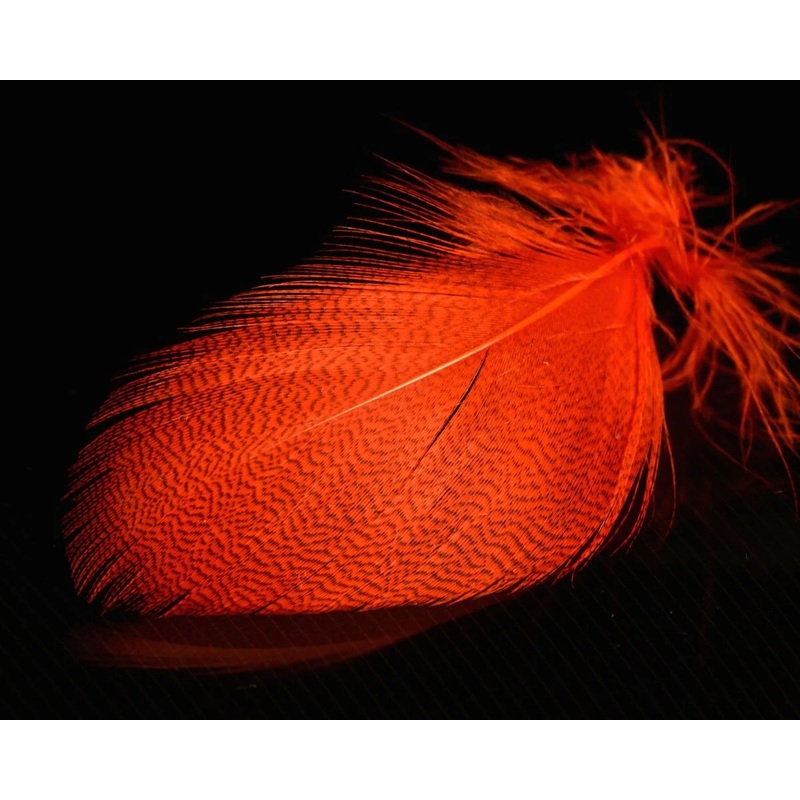 Mallard Spey By Nature’s Spirit