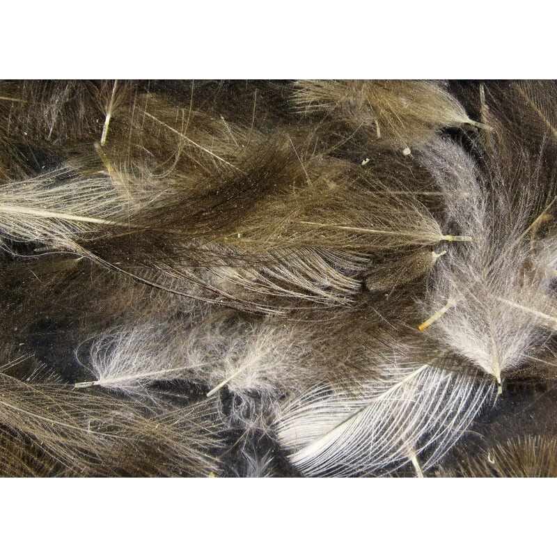 Hareline Cul De Canard (CDC)|Black|Woodduck Gold|Natural Dun|Olive|Brown