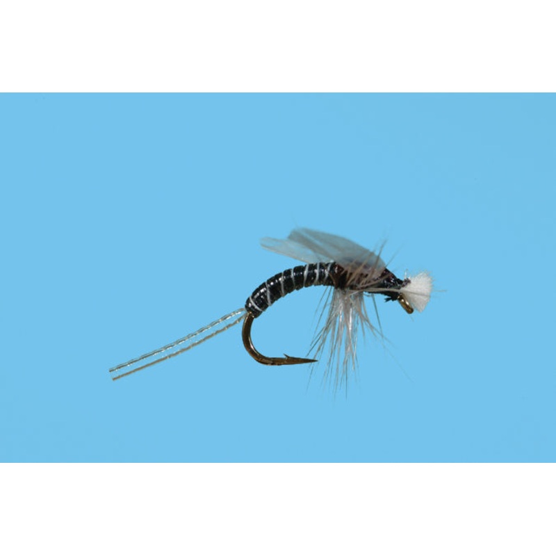 Stalcup Hatching Midge||14||16||18|Gray|Black
