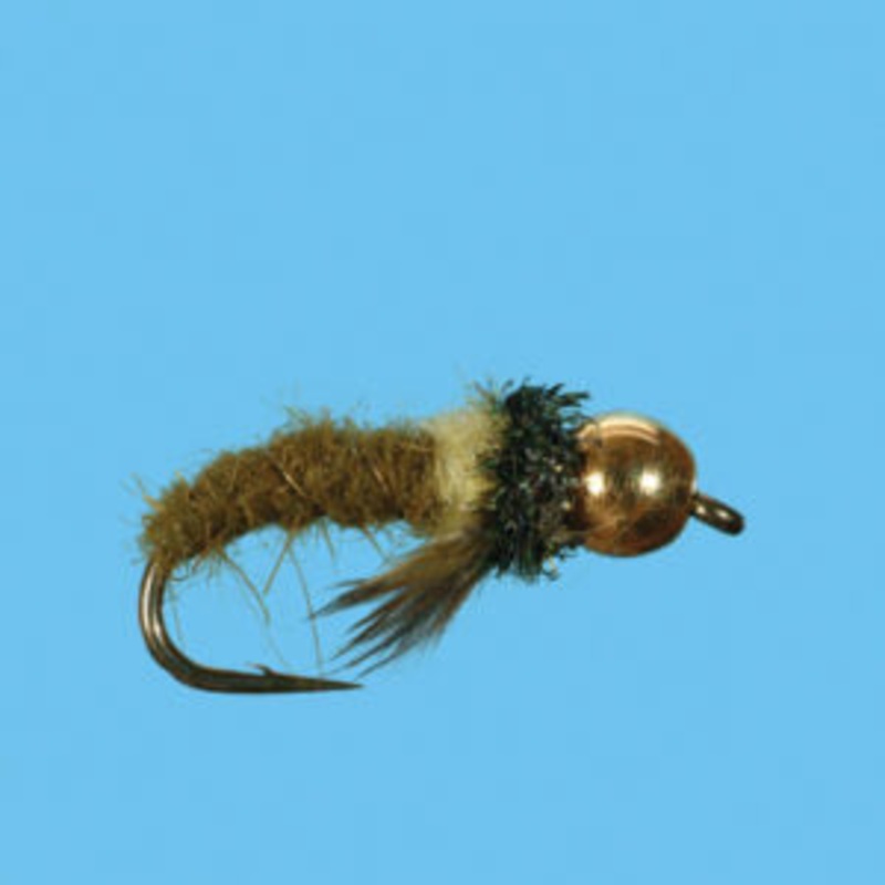 Tungsten Caddis Larva||14||16||18|Natural|Olive