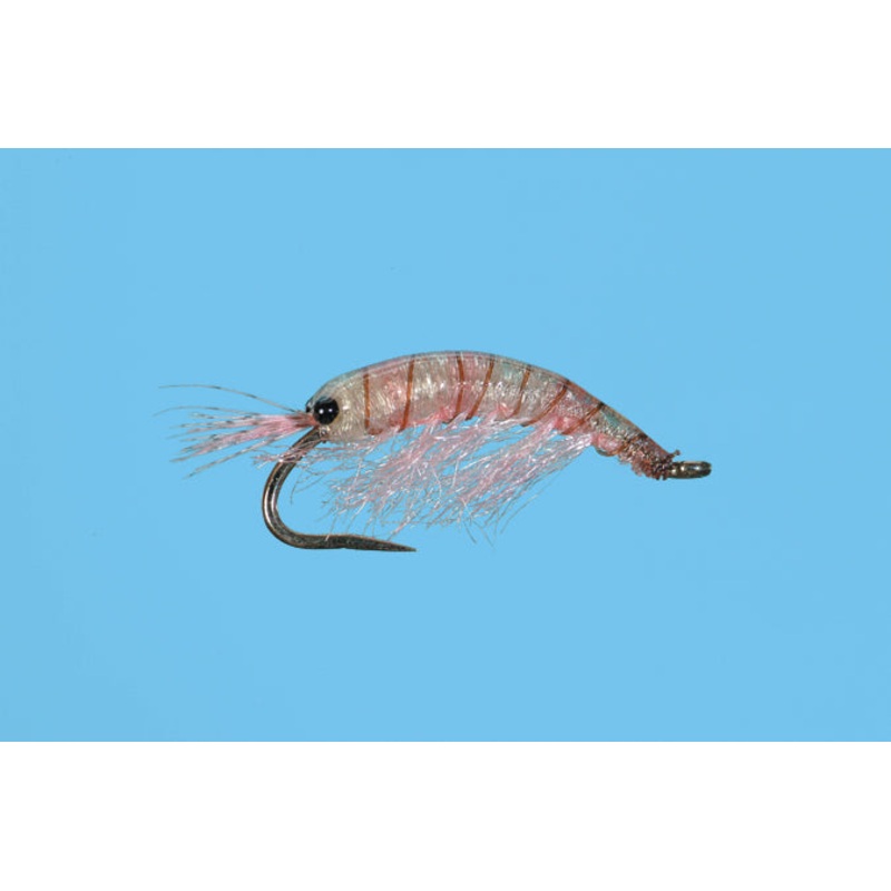 Ultra Scud|Orange|Pink|Gray||14