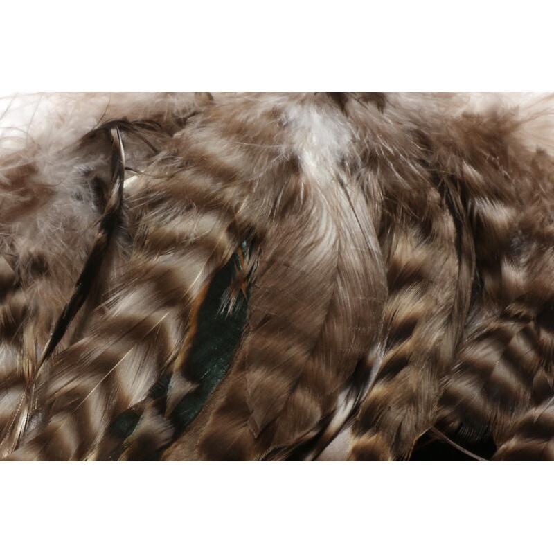Hareline Barred Variant Schlappen 5-7