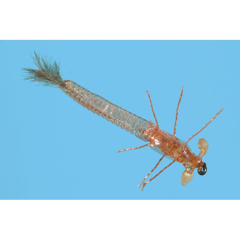 Ultra Damsel Nymph||14||16|Tan|Olive