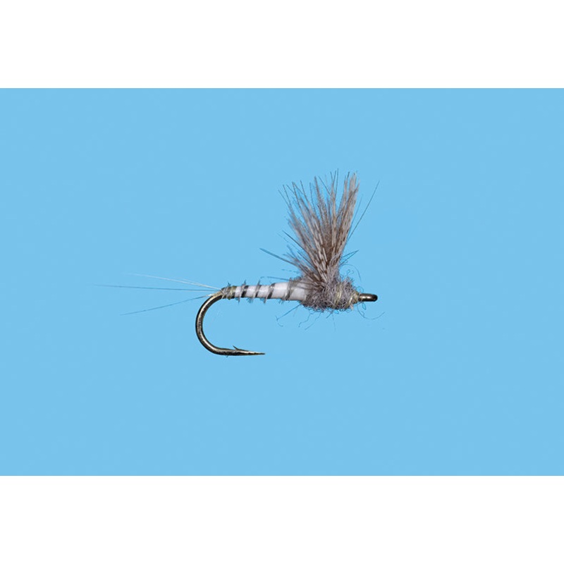 CDC Biot Comparadun||16||18||20|Gray|PMD|BWO