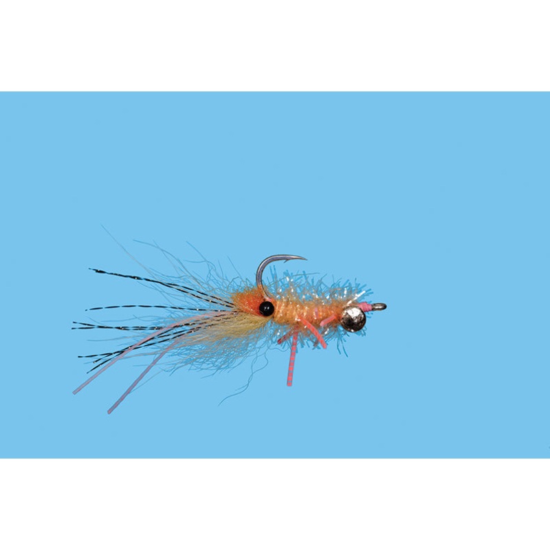 Pimp Shrimp||2|Tan|White