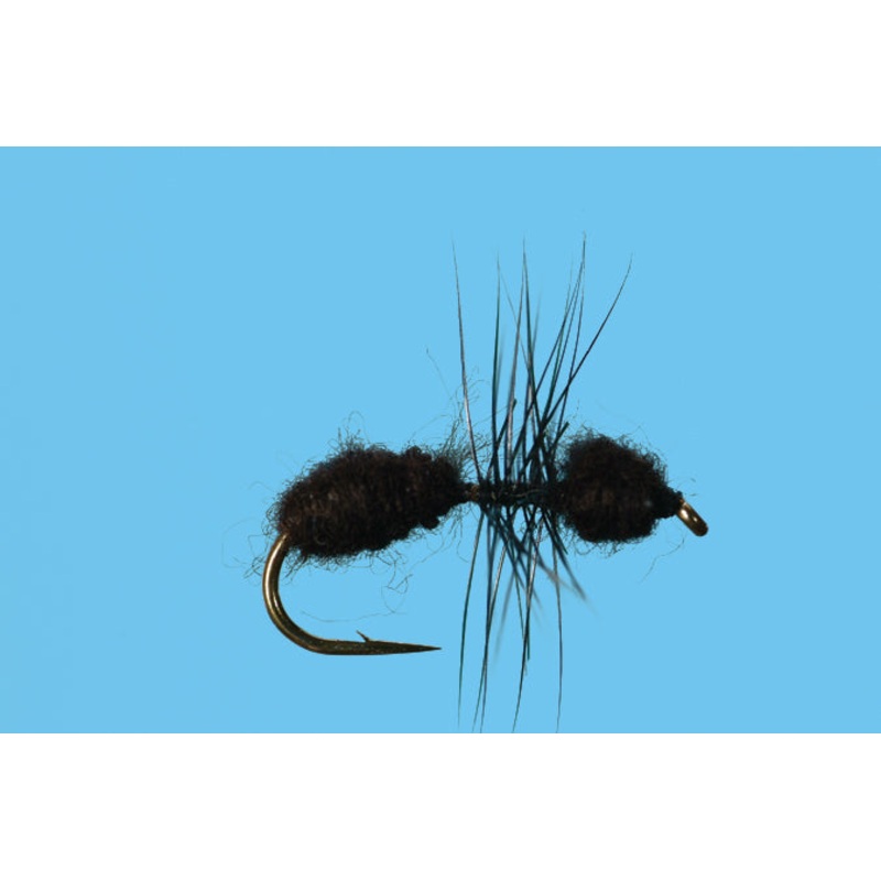 Ant||14||16||18|Black|Cinnamon