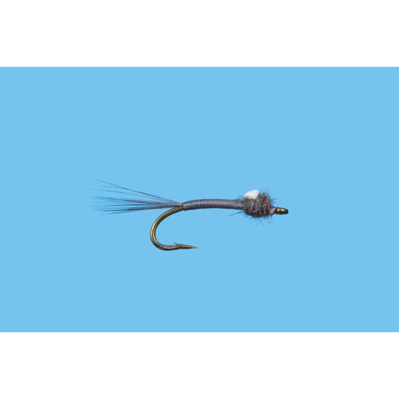 Foam Wing Emerger||20||22|Gray|Chocolate