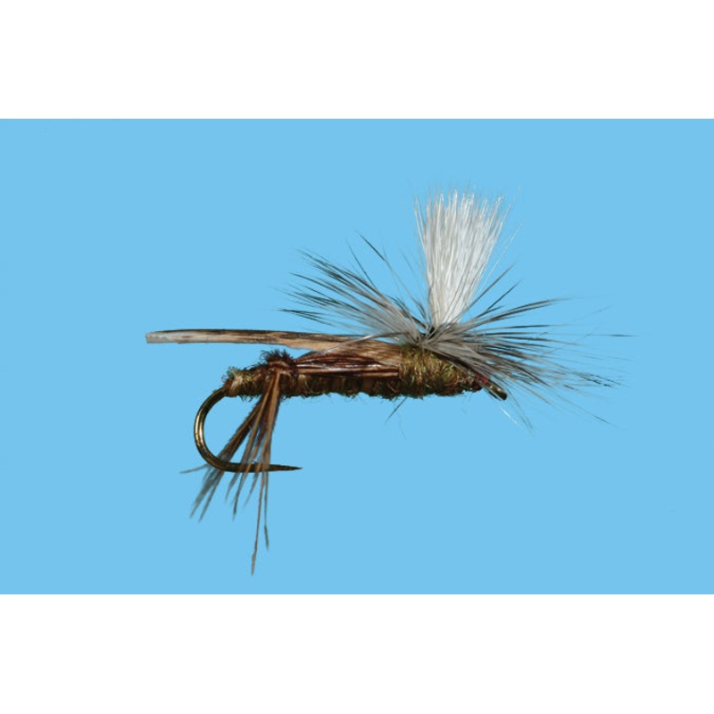 Parachute Hopper||10||12|Olive|Tan