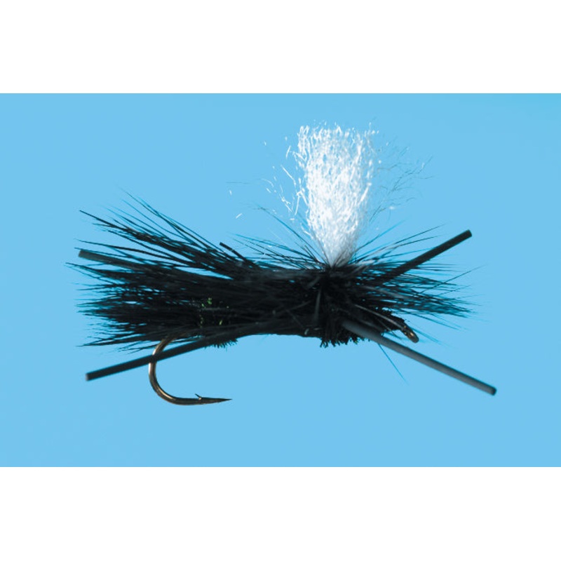 Parachute Madam X||10||12||14|Black|Royal|Yellow