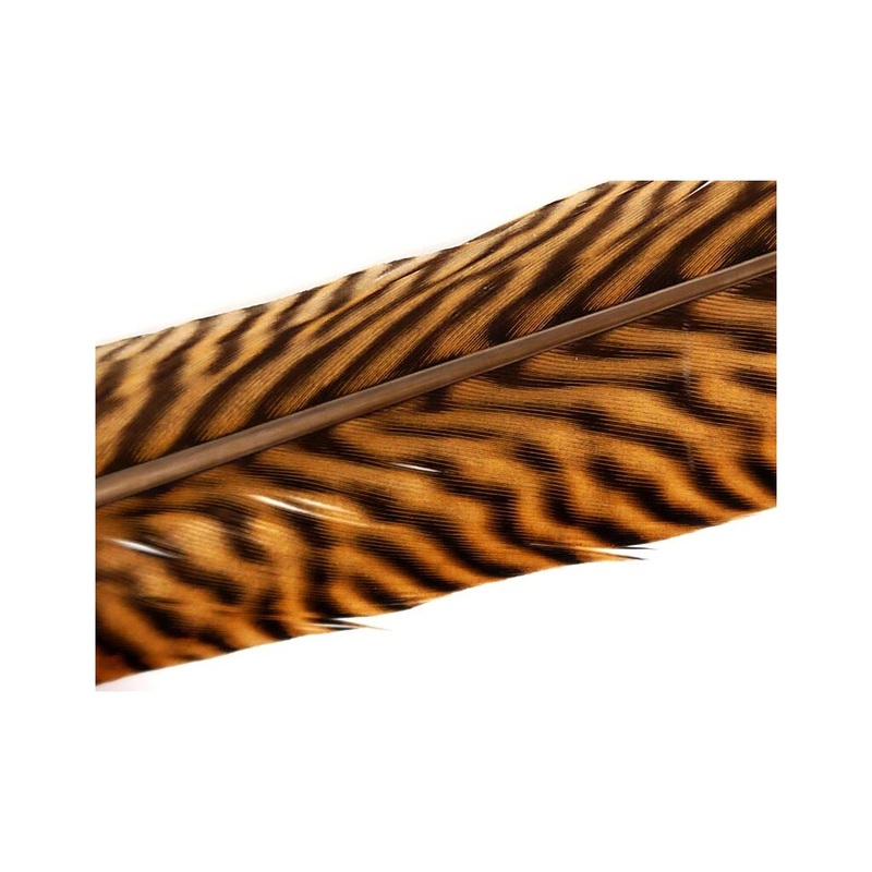 Wapsi Ringneck Tail Feathers|Olive|Black|Golden Yellow|Gray